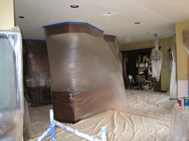 Protective Plastic and New Painting